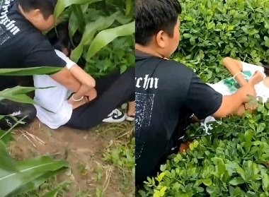 Hiếp dâm bạn học để thỏa mãn con nứng